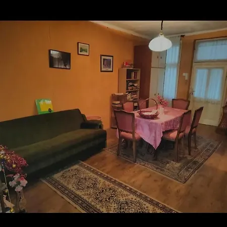 Apartment Main Street, Big Flat- Center